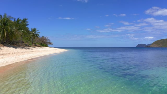 Virtual Walk – Tropical Palm Beaches, Various Locations