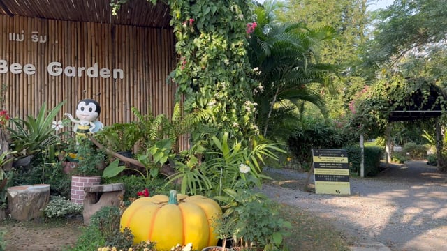Virtual Walk – Bee Farm and Butterfly Garden (SDR)