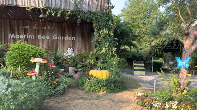 Virtual Walk – Bee Farm and Butterfly Garden