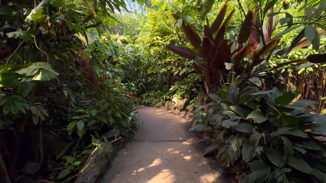 Virtual Walk – Burgers' Zoo, Netherlands 1