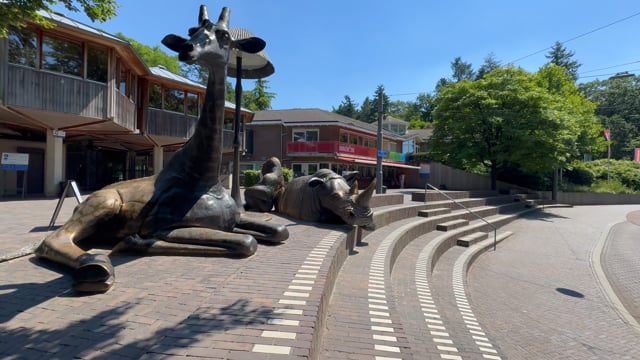Virtual Walk – Burgers' Zoo, Netherlands 2
