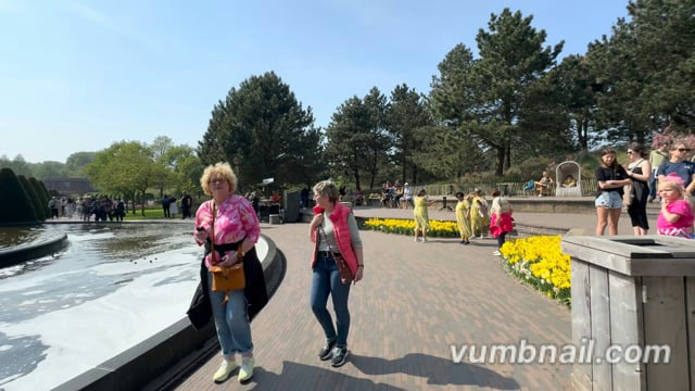 Virtual Walk – Keukenhof Tulip Garden Route 1, The Netherlands