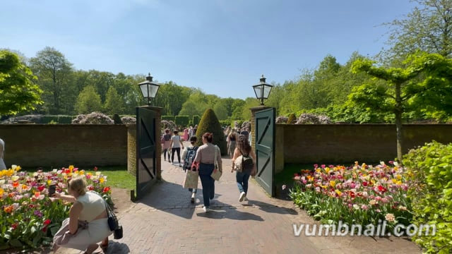 Virtual Walk – Keukenhof Tulip Garden Route 2, The Netherlands
