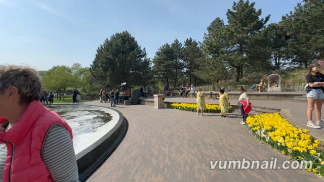 Virtual Walk – Keukenhof Tulip Garden Route 3, The Netherlands