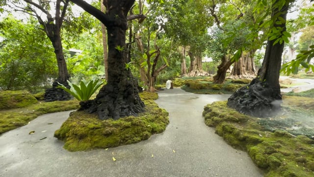 Nature Walk - Changthong Heritage Park – Home of Rare and Ancient Trees