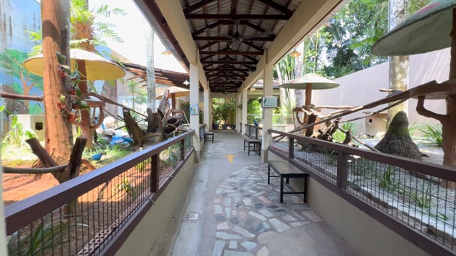 Virtual Zoo Walk – Smallest, Most Colourful Bird Aviary in Asia