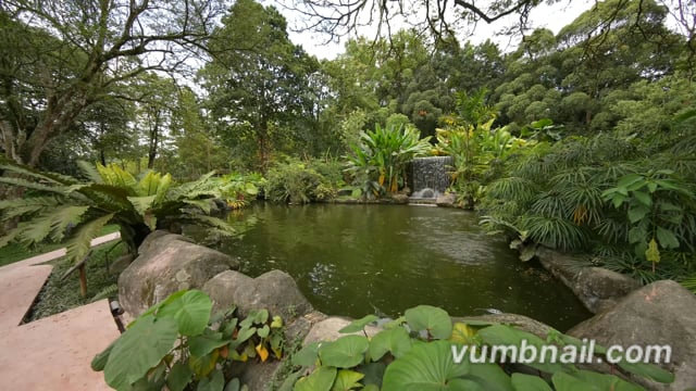 Nature Walk – Botanical Gardens, Kuala Lumpur, Malaysia 1