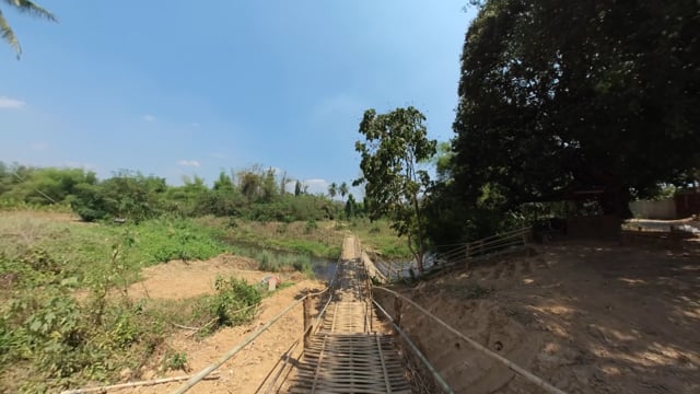 Nature Walk – Bamboo Walk through Rice Fields with Flowers, Thailand