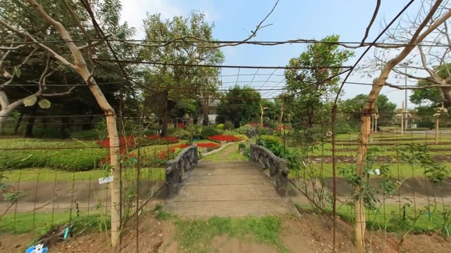Nature Walk – Tropical Gardens