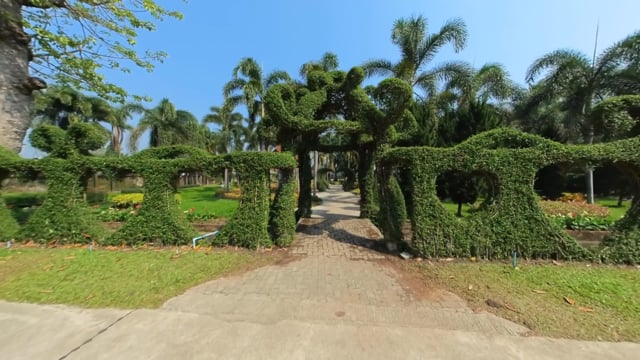 Nature Walk – Palm Gardens