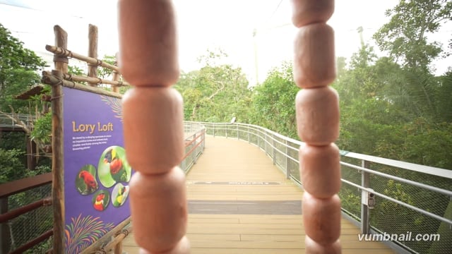 Virtual Walk – Bird Paradise Route 1, Singapore
