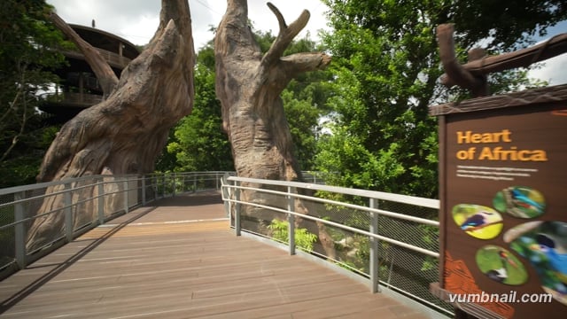 Virtual Walk – Bird Paradise Route 2, Singapore