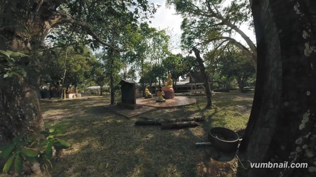 Treadmill Walk – Wat Chak Yai, Buddha Park, Thailand