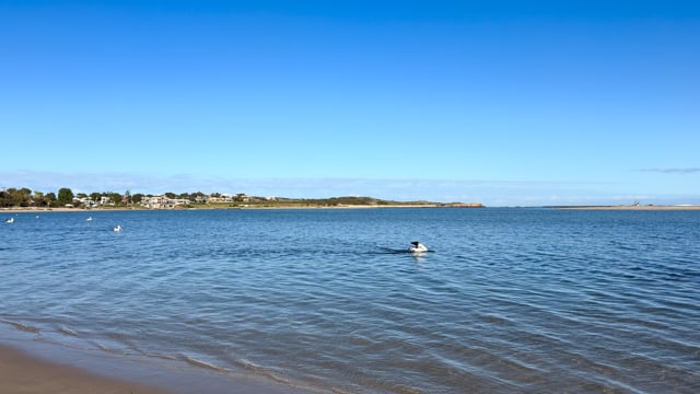 Chinamans Beach Walk 1
