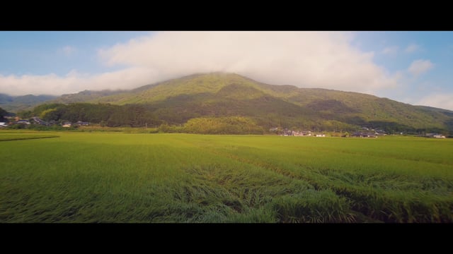 Virtual Walks - Japan Landscapes