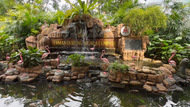 Virtual Walk – World’s Largest Bird Aviary 1