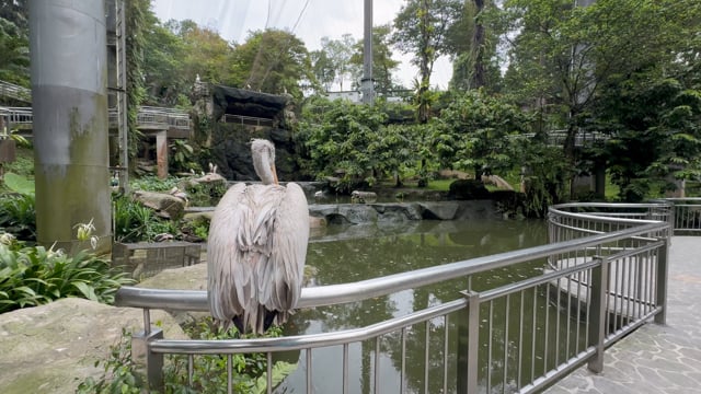 Virtual Walk – World’s Largest Bird Aviary 2