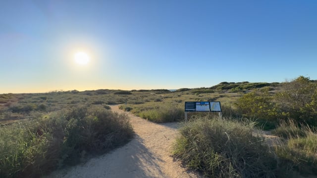 Mangrove Beach Sunset Walk 1