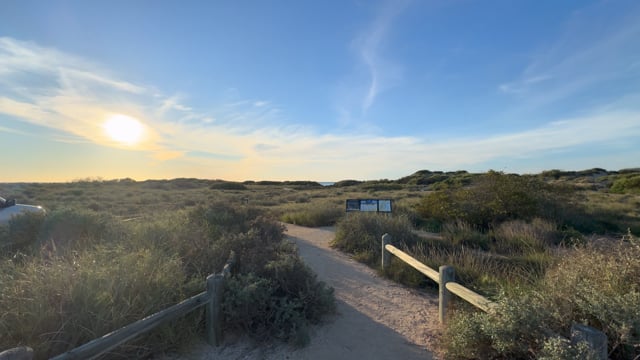 Mangrove Beach Sunset Walk 2