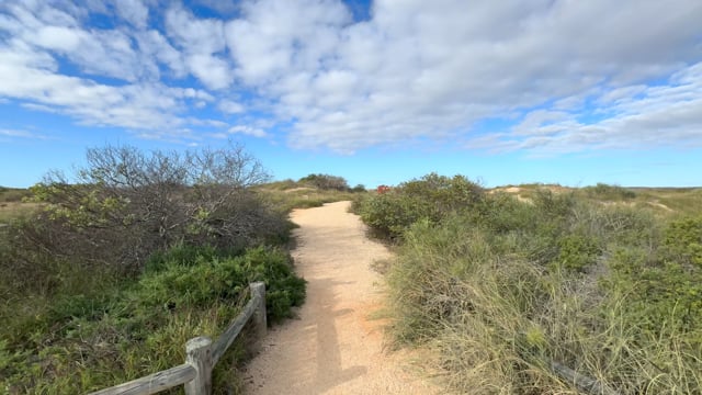 Walk to the Bird Hide