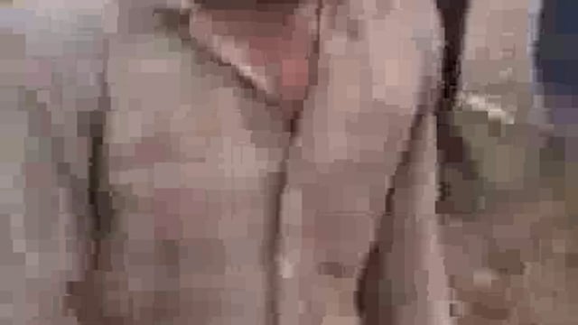 चार वर्षीय मासूम को टाइगर ने बनाया निवाला, अपनी पत्नी के साथ पलिया के ग्राम देवीपुर (पटिहन) में गन्ना छील रहा था, मजदूर 