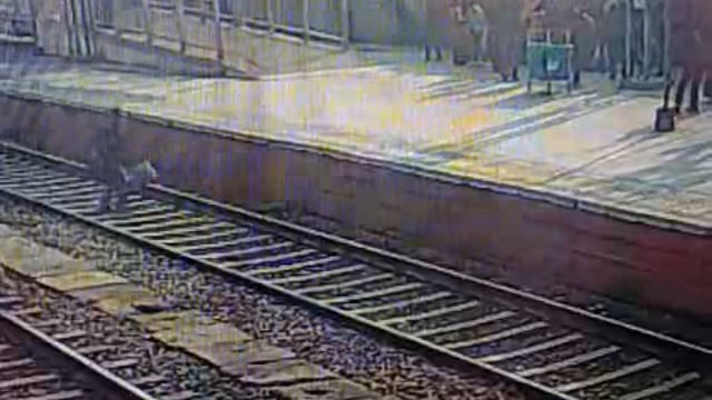 ऑपरेशन जीवन रक्षा के अंतर्गत आरपीएफ की सतर्कता से उरई रेलवे स्टेशन पर यात्री की जान बचाई गई