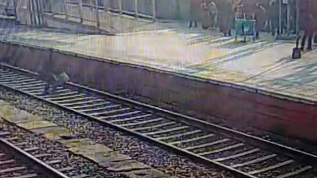 ऑपरेशन जीवन रक्षा के अंतर्गत आरपीएफ की सतर्कता से उरई रेलवे स्टेशन पर यात्री की जान बचाई गई