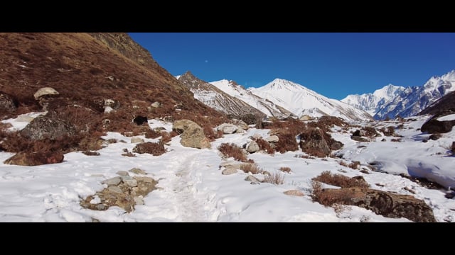 4K Virtual Hike - Langtang National Park - Himalayas - Nepal