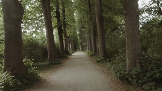 Virtual Walk - Castle Gardens and Woodlands, Germany