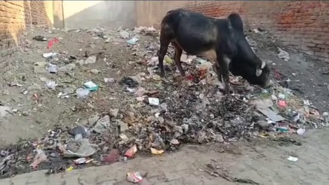 MANT- मथुरा आनंद नगर वार्ड 45 में,गंदगी की समस्या से ग्रसित, खाली प्लाट बना कारण,,