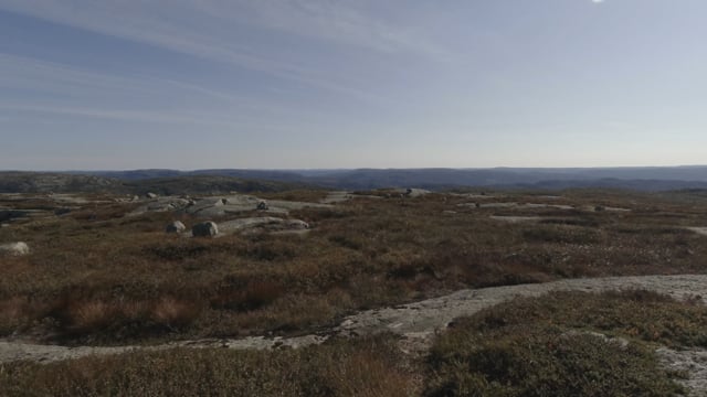 Nature Walk – Late Summer Hike at Norwegian Fjell, Norway