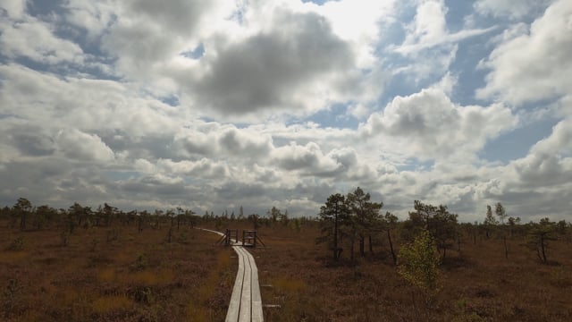 Nature Walk – Ķemeri National Park, Latvia
