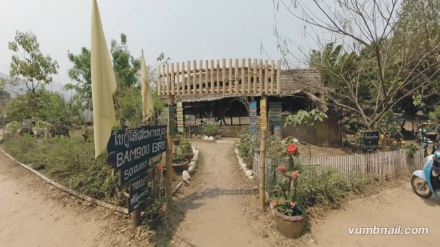 Virtual Walk – Bamboo Bridge with Water Buffalo, Pai, Thailand