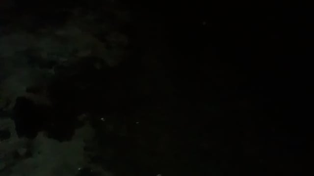 शाहजहांपुर में बसंत पंचमी पर तेजो से हवा चली और बारिश हुई