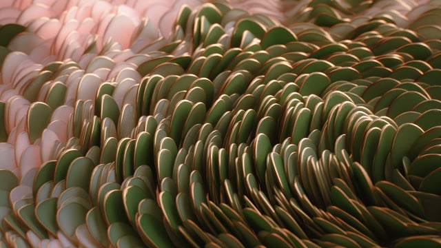 Tendril | Best of Reel 2026