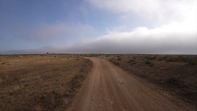 Scenery Walk - Sea fog, Portugal 3