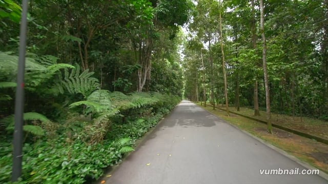 Virtual Walk – Bukit Batok Nature Park, Singapore