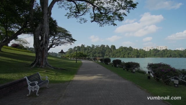 Virtual Walk -  MacRitchie Reservoir Park, Singapore