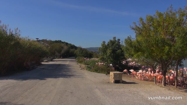 Virtual Walk – Birdlife Walk, Ebro Delta, Spain 2