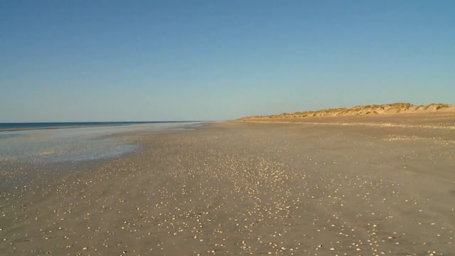 Fitness Journeys – Shell Beach, Australia 2