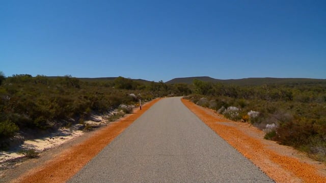 Fitness Journeys – Wildflower Walk, Australia 4