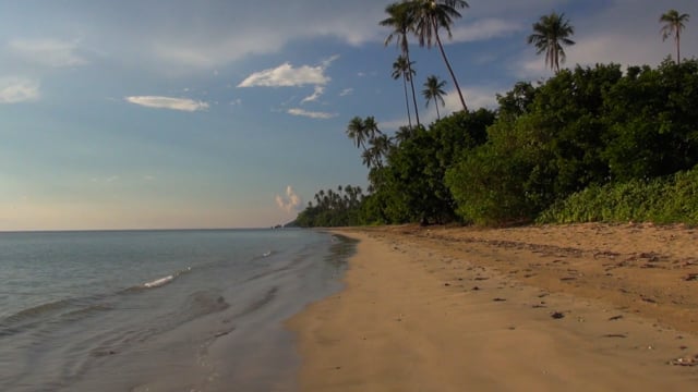 walk_3_-_virtual_walk_philippines