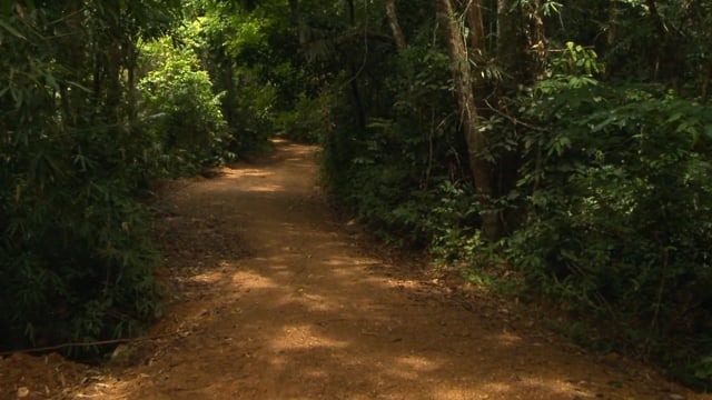 Fitness Journeys – Off-Road Jungle Walk, Thailand 3