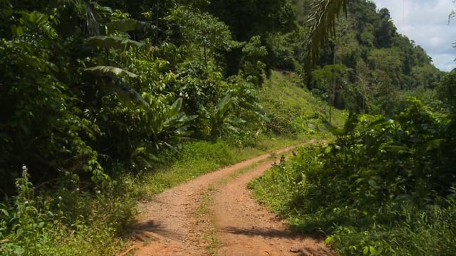 Fitness Journeys – Off-Road Jungle Walk, Thailand 3