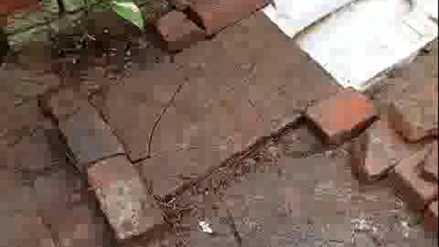 गाँव गोयला ब्लॉक शाहपुर जिला मुजफ्फरनगर मे शिकायत कर्ता किरणपाल पुत्र चतरसिंह ने शौचालय का आवेदन किया था जिसके बाद ग्राम सचिव ने बिना जांच के फॉर्म को रिजेक्ट कर दिया, मुफ्त शौचालय स्वच्छ भारत मिशन (ग्रामीण) योजना के तहत बनते हैं, जो गरीब, वंचित और ज़रूरतमंद परिवारों को घर में शौचालय बनवाने के लिए वित्तीय सहायता (आमतौर पर ₹12,000) देती है, ताकि देश को खुले में शौच मुक्त बनाया जा सके, शिकायतकर्ता ने भ्रष्ट अधिकारी पर कारवाई की मांग की