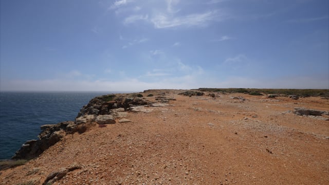 Sea Fog Walking Experience 1