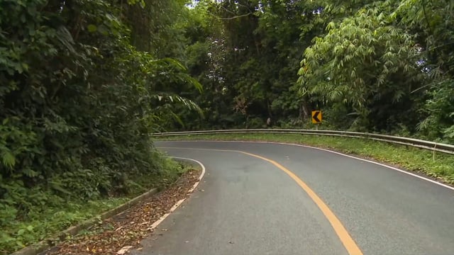 run_up_hill_and_down_hill_over_a_mountain_pass_with_elephants_and_rainforest_vegatation 4