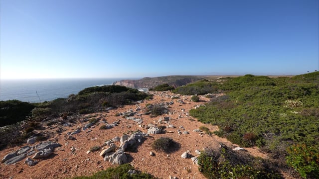 Nature Walk - Parque Natural, Portugal 3