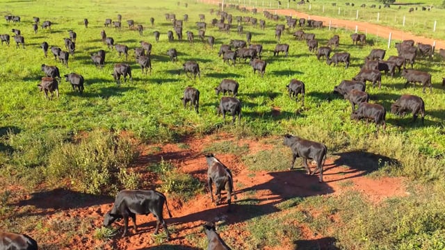 Lotes <br>38 / 39 / 40