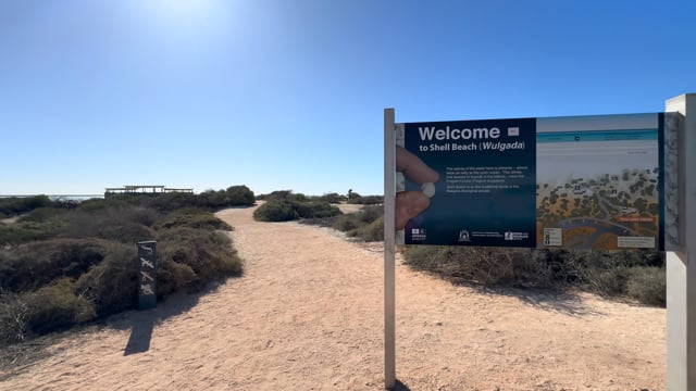 Virtual Walk - Shell Beach 1